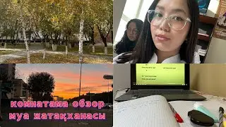 Комнатама обзор•Жеңіс 35•Жатақхана•Медицина