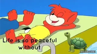 Life Is So Peaceful Without Turtle