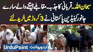 Canadian Pakistani Ne Qurbani Ke Liye Competition Jeetne Wale Sare Janwar 3 Crore Mein Kharid Liye