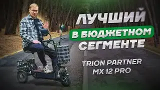 ЛУЧШИЙ В БЮДЖЕТНОМ СЕГМЕНТЕ / Обзор электротрицикла TRION Partner MX 12 PRO