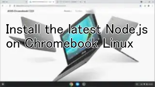 Install the latest Node.js on Chromebook Linux 20240211