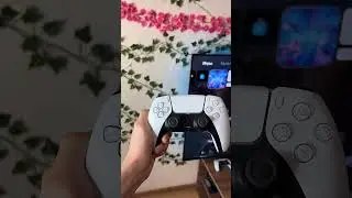 Xbox или PlayStation что выбрать в 2024 году