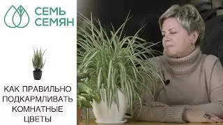 ПРАВИЛА ПОДКОРМКИ КОМНАТНЫХ РАСТЕНИЙ ЗИМОЙ И ВЕСНОЙ!