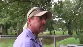 Joe Exotic TV - Flood At The Park!