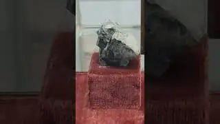 Stone from First Indian Woman on the Mt.Everest Summit: Ms Bechandri Pal to the President Zailji