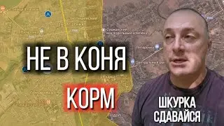 Саня во Флориде light от 09.08.2024 расширенный выпуск.