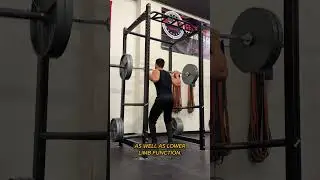 Should calisthenics athletes train legs?