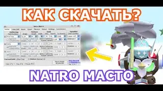 КАК СКАЧАТЬ МАКРОС? НАСТРОЙКА МАКРОСА! BEE SWARM SIMULATOR