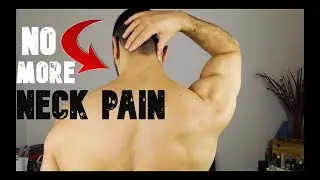 STRETCHING AND SELF  RELEASE MASSAGE FOR NECK PAIN ( LEVATOR SCAPULAE MUSCLE )