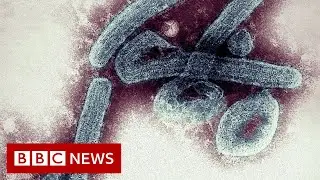 Marburg: Ghana confirms first cases of deadly virus - BBC News