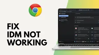 How to Fix IDM not Working on Chrome