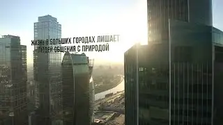 Accountant Ad (copy)