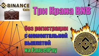Три крана BNB с быстрой выплатой на FaucetPay
