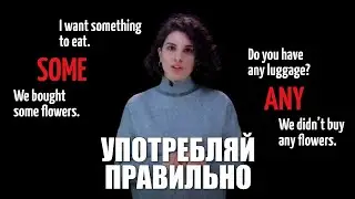 Some и any как употреблять | Английский язык с ils