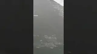 ПУСТЬ ЗА ОКНОМ МЕТЕЛЬ ВЕДЁТ СВОИ БОИ...❄🌹❄🌹❄🌹❄🌹❄🌹❄🌹❄🌹❄🌹❄🌹❄🌹❄🌹❄🌹❄🌹❄🌹❄🌹❄🌹❄🌹❄🌹❄🌹❄🌹