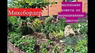 Цветы на моем участке. Продолжаем благоустройство участка.