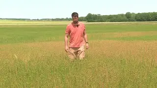 Sécheresse : la majeure partie de l'Eure passe en niveau d'alerte