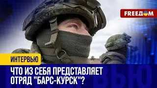 КУРСКАЯ ТрО вместо АРМИИ. Россияне ПРИГРАНИЧЬЯ – в безысходности