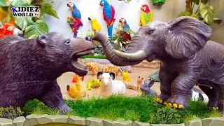 Learning Indian Animals for Kids | Cow Elephant Tiger Fox, Indian Rhino & More