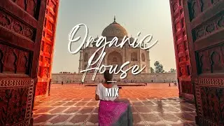 Indian vibes | Organic House mix