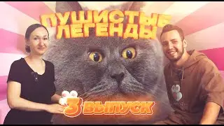 Пушистые легенды - Федя кот (Fedja_kot) Выпуск 3