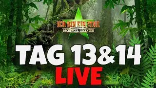 Dschungelcamp 2024 | Tag 13 & 14 | DIE GROßEN EXITS und die RATTEN