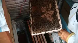 🔴 Как убрать 