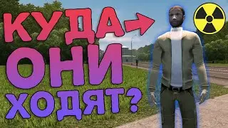 Куда Ходят Люди (NPC) - City Car Driving