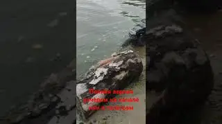 Хаммер аш-4. Рс-модель на радиоуправлении.