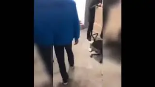 Незаконный ЦЕХ по производству красной икры