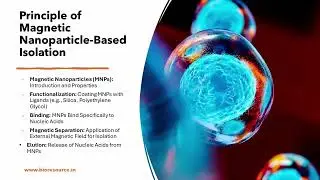 Magnetic Nanoparticle-Based Nucleic Acid Isolation Technique, Understanding Principle & Applications
