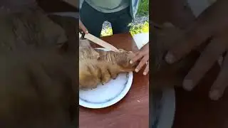 Жесть. Это приготовили прямо в кишке