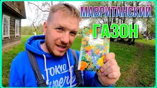 Сею газон и много других дел. Насыщенный день на хуторе. 