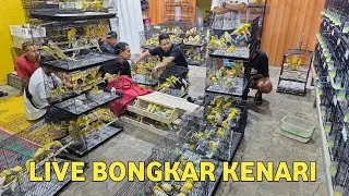 LIVE BONGK4R KENARI DI PUSAT KENARI IMPORT SOLORAYA