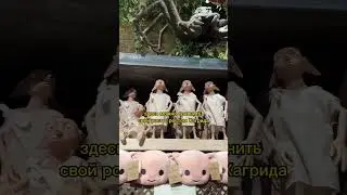 ВСЕМ ФАНАТАМ ГАРРИ ПОТТЕРА ⚡️ 