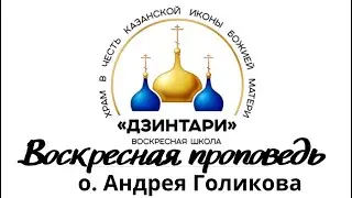 Вход Господень в Иерусалим. Вербное воскресенье. Евангелие от Иоанна 12:18.