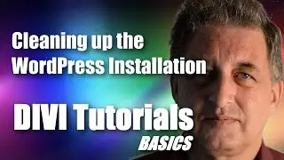 #03 DIVI Theme Tutorial for Beginners -  Cleaning up the WordPress Installation
