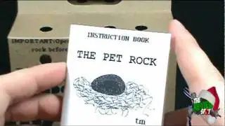 Christmas Spot - Pet Rock (As seen on CNN)