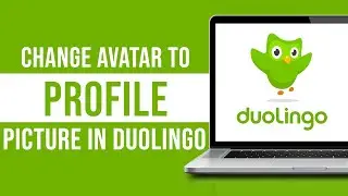 Can You Change Avatar To Profile Picture In Duolingo?