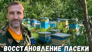 Работы по восстановлению пасеки в июне