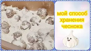 Как сохранить чеснок в домашних условиях