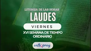 Oración de la mañana (Laudes), VIERNES 26 DE JULIO 2024 | XVI semana Tiempo Ordinario | #Cathopray