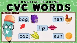 LEARN TO READ CVC WORDS | PRACTICE READING SIMPLE WORDS | READING COMPILATION | TEACHING MAMA