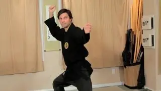 How to Do Basic Budo Taijutsu Postures | Ninjutsu Lessons