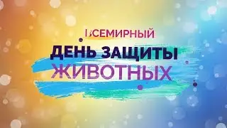 4 октября - Всемирный день защиты животных. Берегите их. Видеомонтаж - Александр Травин. арТзаЛ