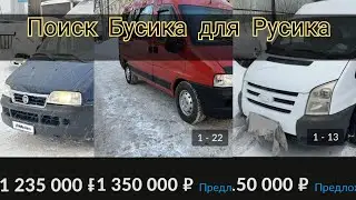 Поиск Бусика для Русика