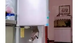 ОРГАНИЗОВАННЫЙ ГРАБЁЖ