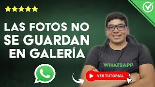 Solución: Las FOTOS DE WHATSAPP no se Guardan en la Galería | 🖼️ Todas las Formas 🖼️