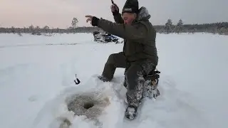 🔥ПРОБИВАЮСЬ НА СНЕГОХОДЕ К НОВОМУ ОЗЕРУ. ПРИКЛЮЧЕНИЯ В ДИКОЙ ТАЙГЕ. РЫБАЛКА НА БОЛОТНОМ ОЗЕРЕ.