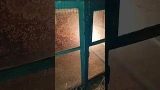 цыплятник своими руками